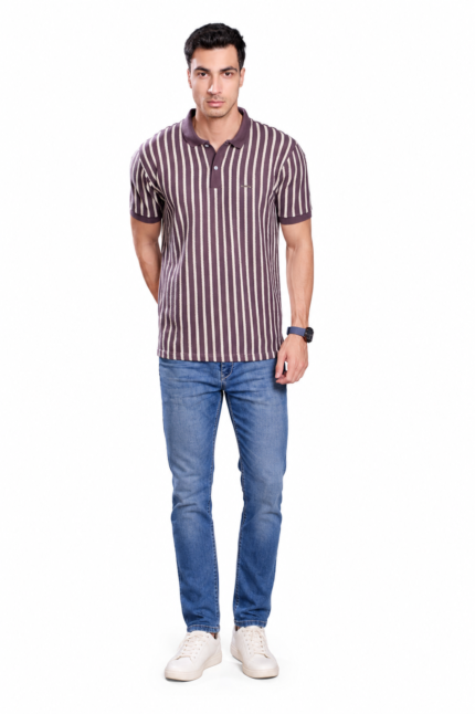 TARZZO Striped Polo T-Shirt